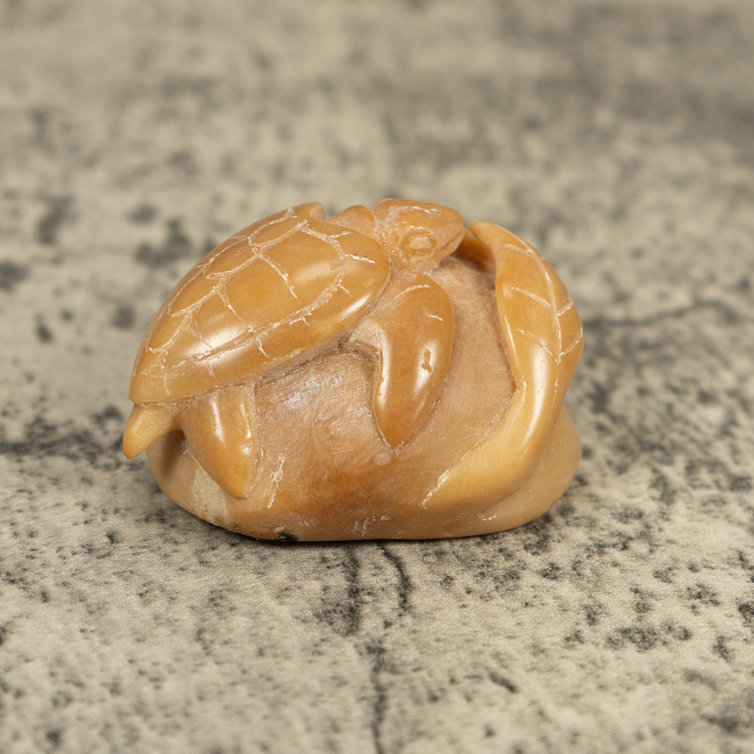 Vintage Natural White Sea Turtle Tagua Carving