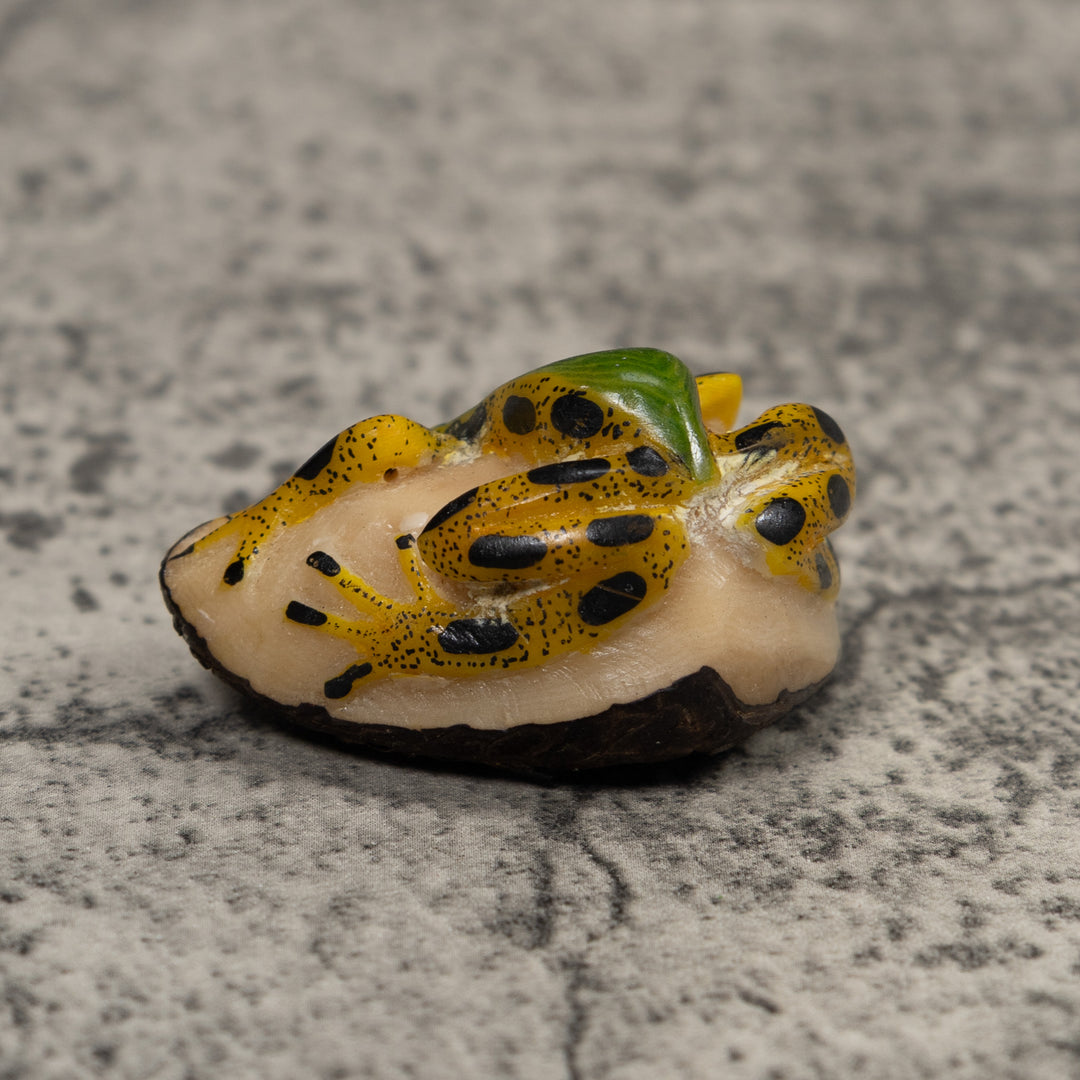 Poison Dart Frog Tagua Carving