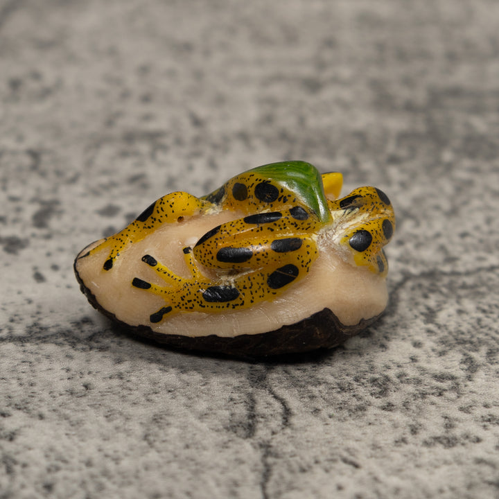 Poison Dart Frog Tagua Carving