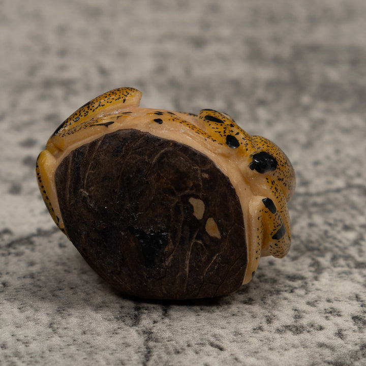Double Vintage Frog Tagua Carving