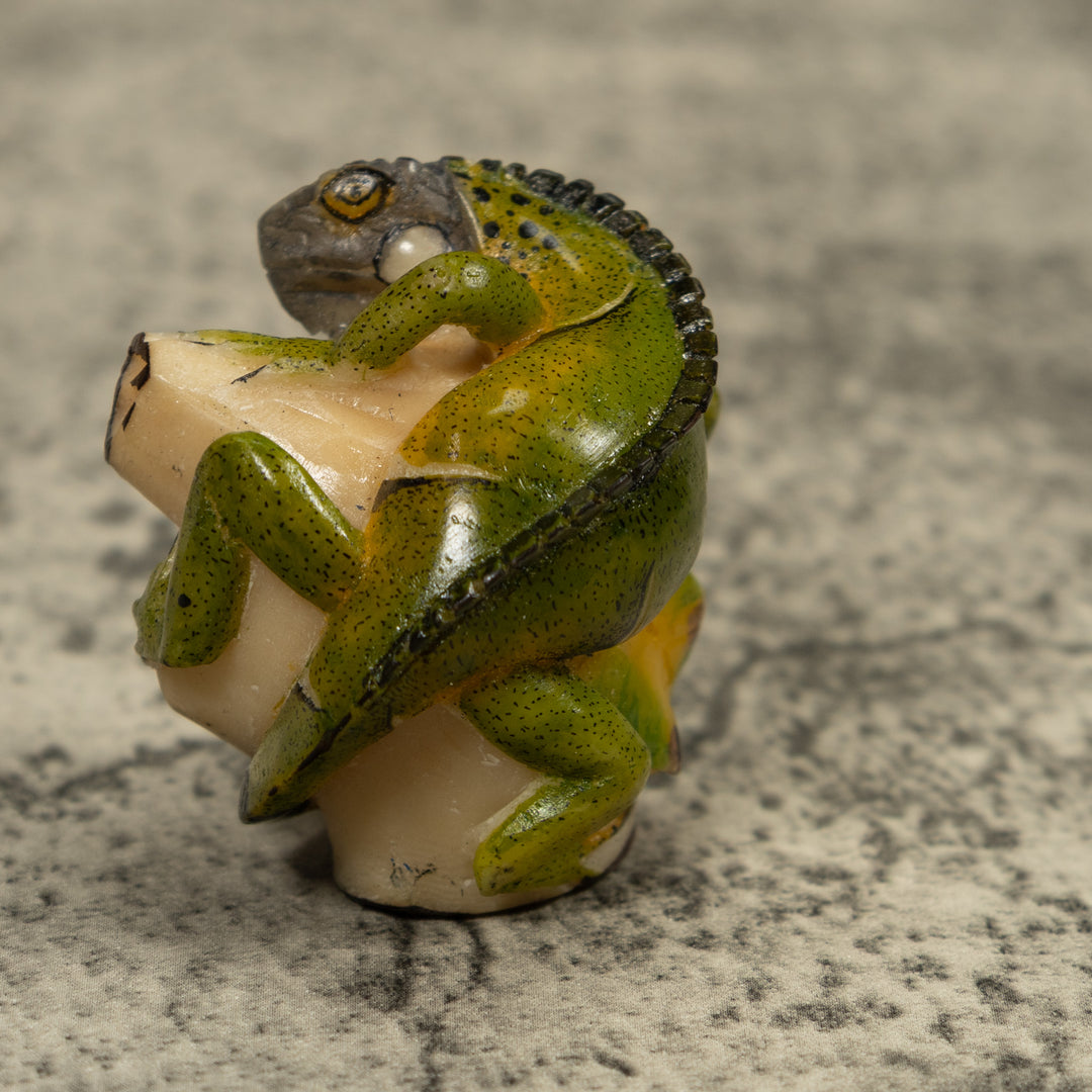 Iguana Lizard Reptile Tagua Carving