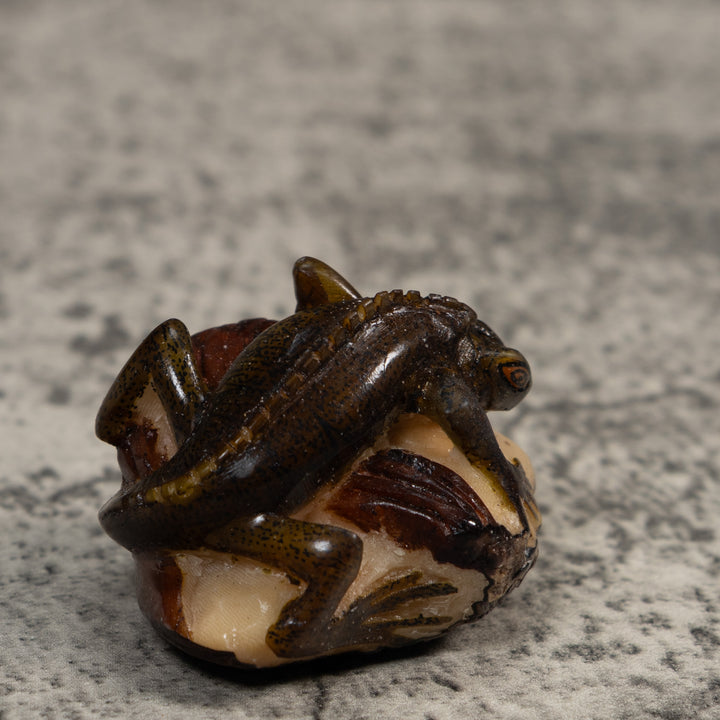 Brown And Black Iguana Lizard Tagua Carving