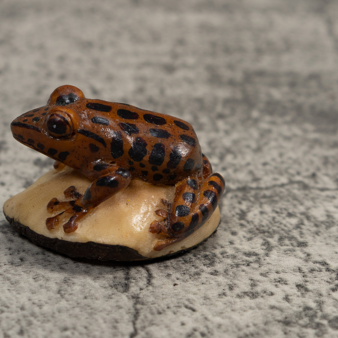 Black And Brown Toad Tagua Carving