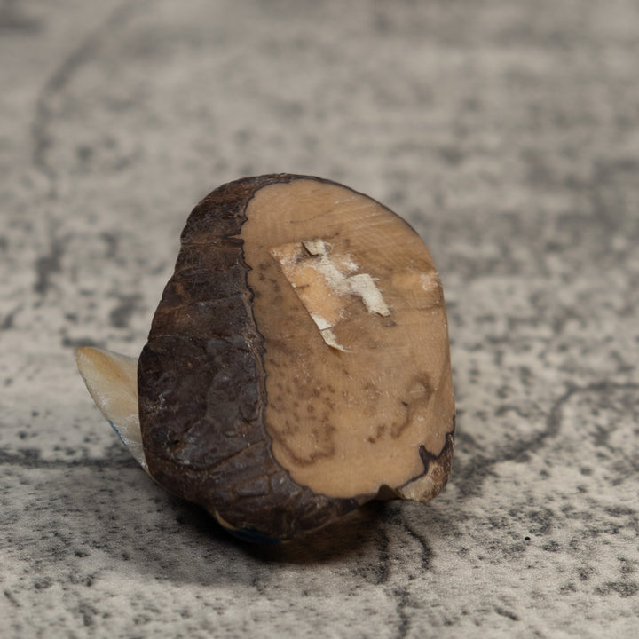 Vintage Black And Blue Bird Tagua Carving