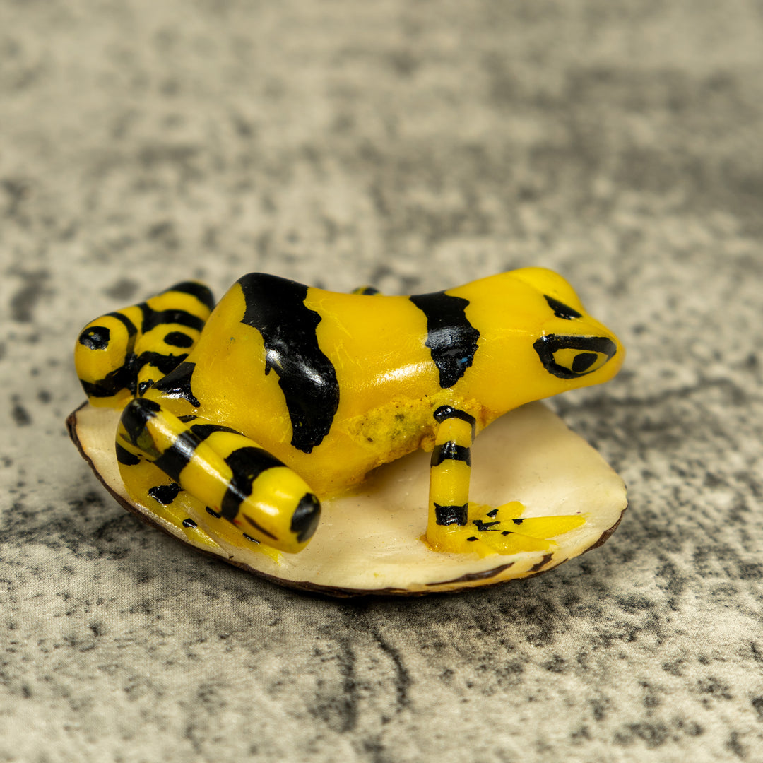 Black And Yellow Golden Frog Tagua Carving