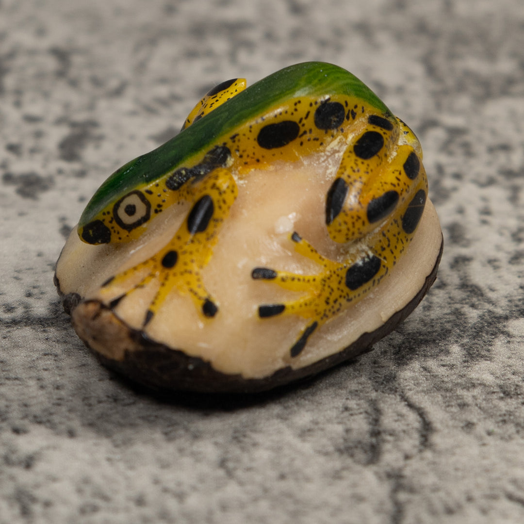 Poison Dart Frog Tagua Carving