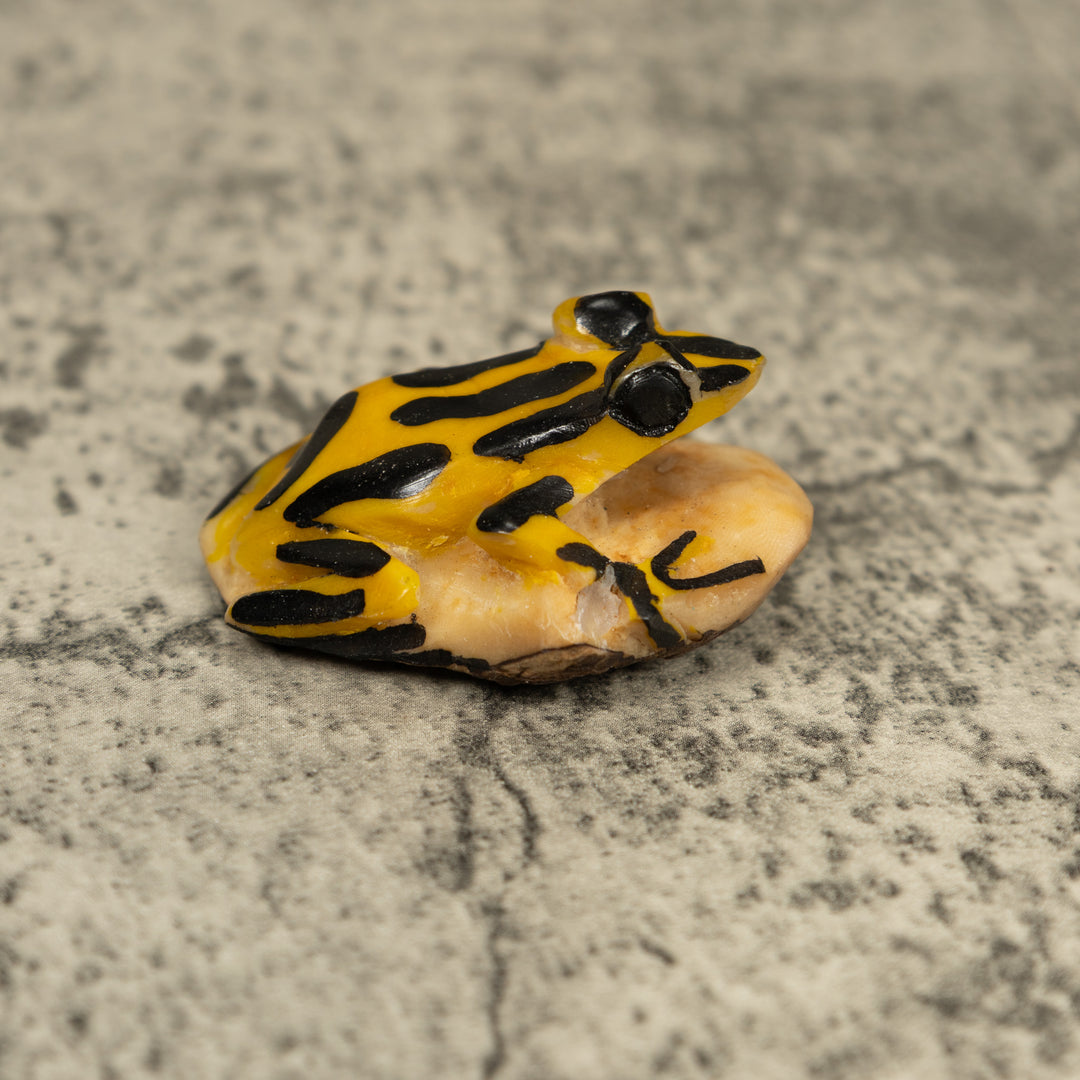 Vintage Black And Yellow Frog Tagua Carving