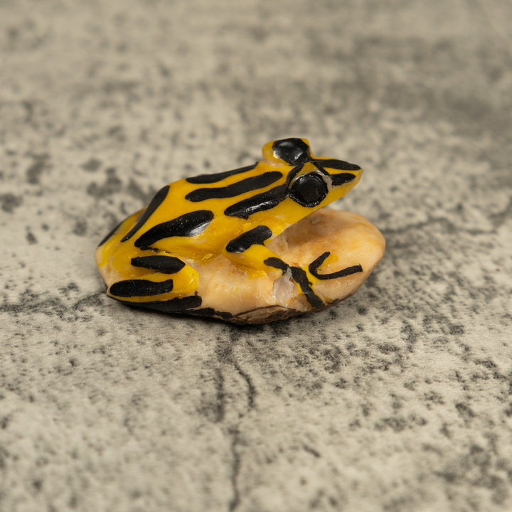 Vintage Black And Yellow Frog Tagua Carving