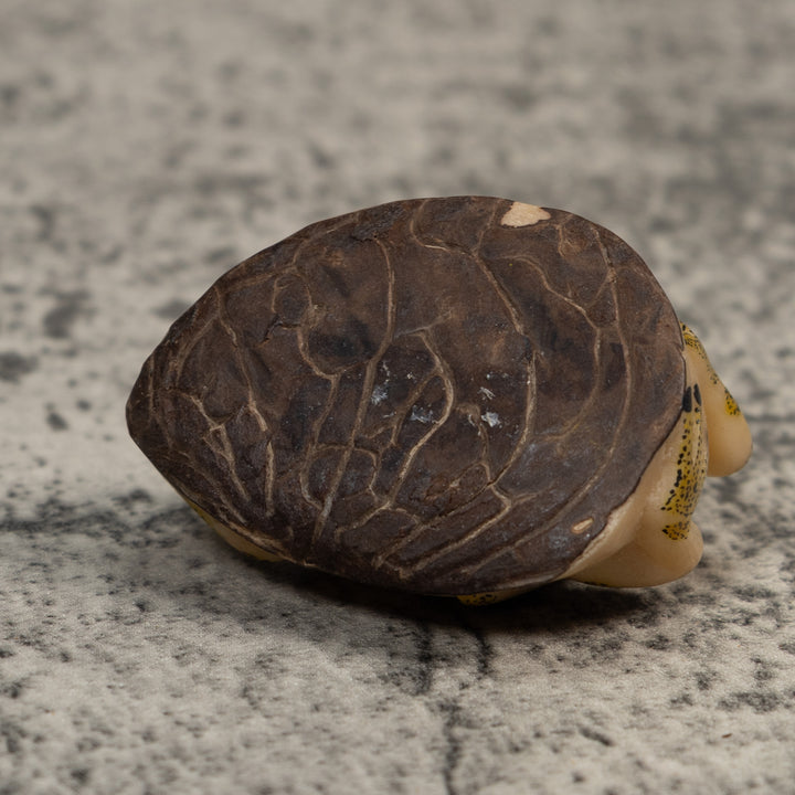 Vintage Red And Yellow Blow Throat Frog Tagua Carving