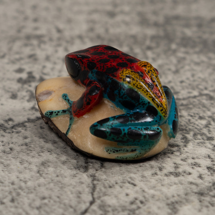 Vintage Red Blue And Yellow Frog Tagua Carving