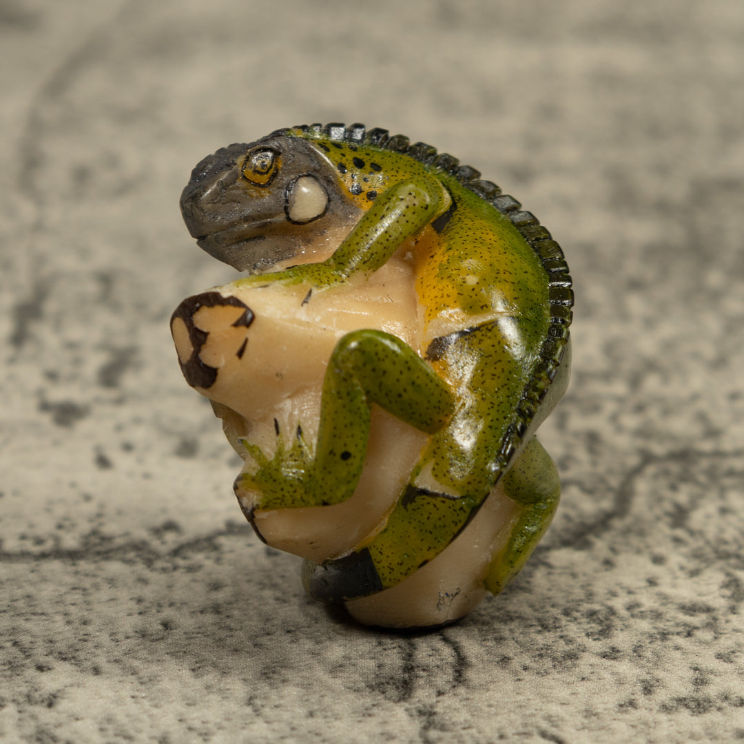 Iguana Lizard Reptile Tagua Carving