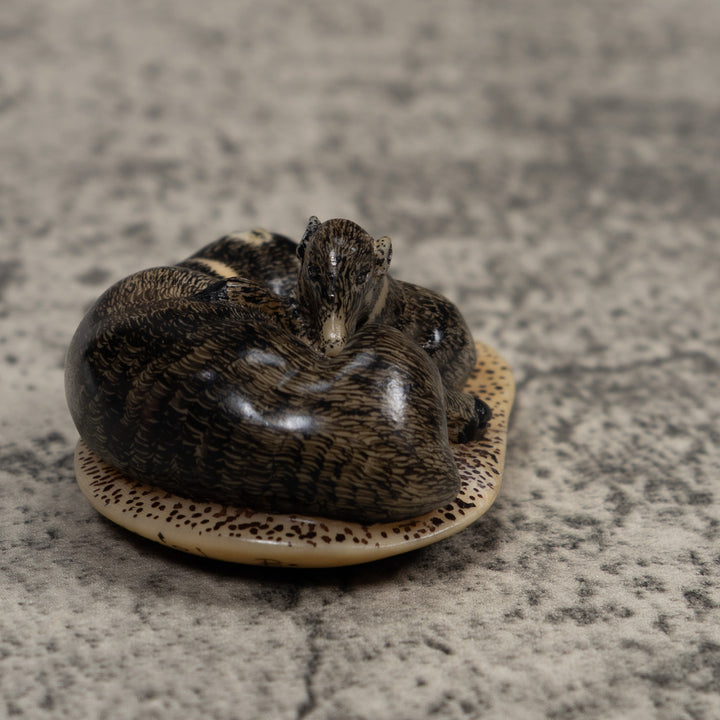 Coatimundi With Cub Tagua Carving