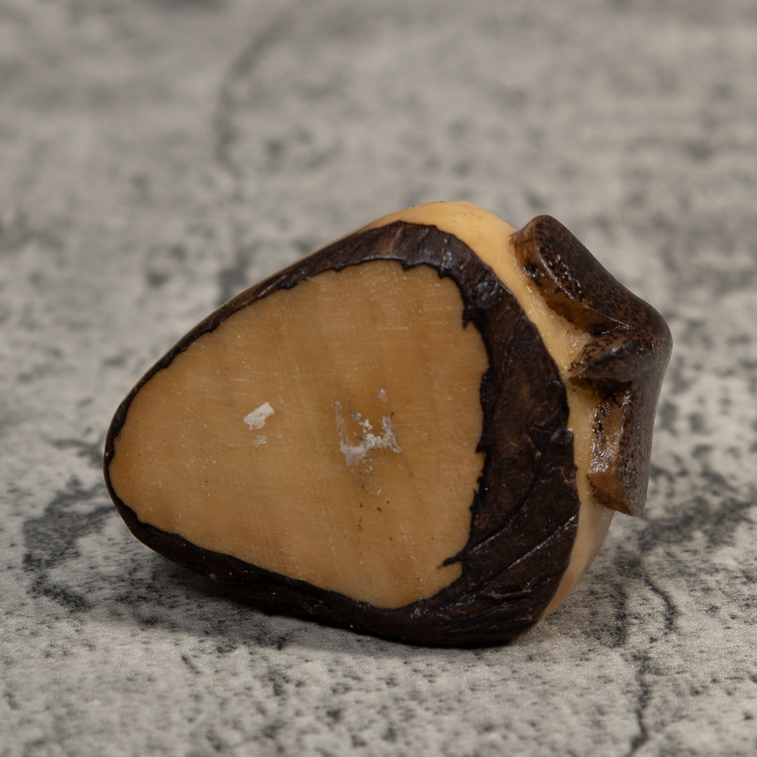 Brown Ocean Shrimp Tagua Carving