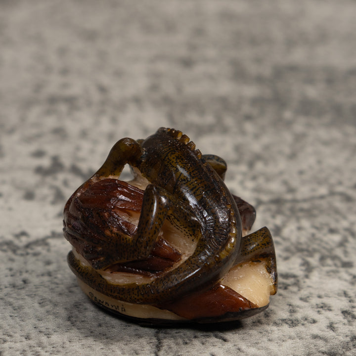 Brown And Black Iguana Lizard Tagua Carving