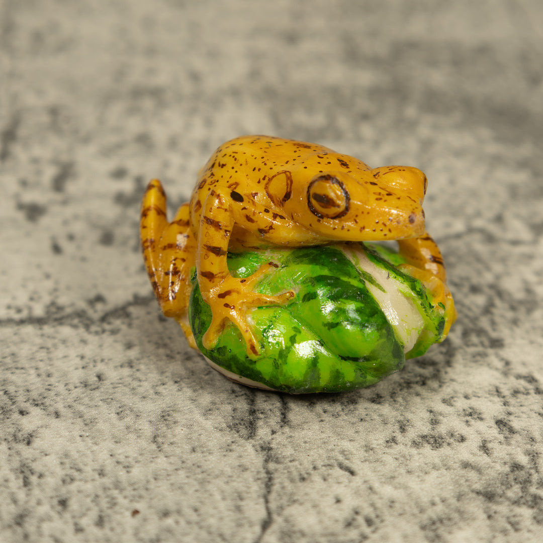 Golden Frog Tagua Carving
