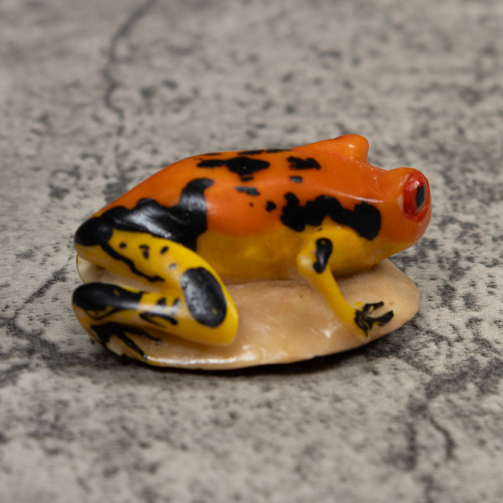 Vintage Black And Gold Poison Dart Frog Tagua Carving