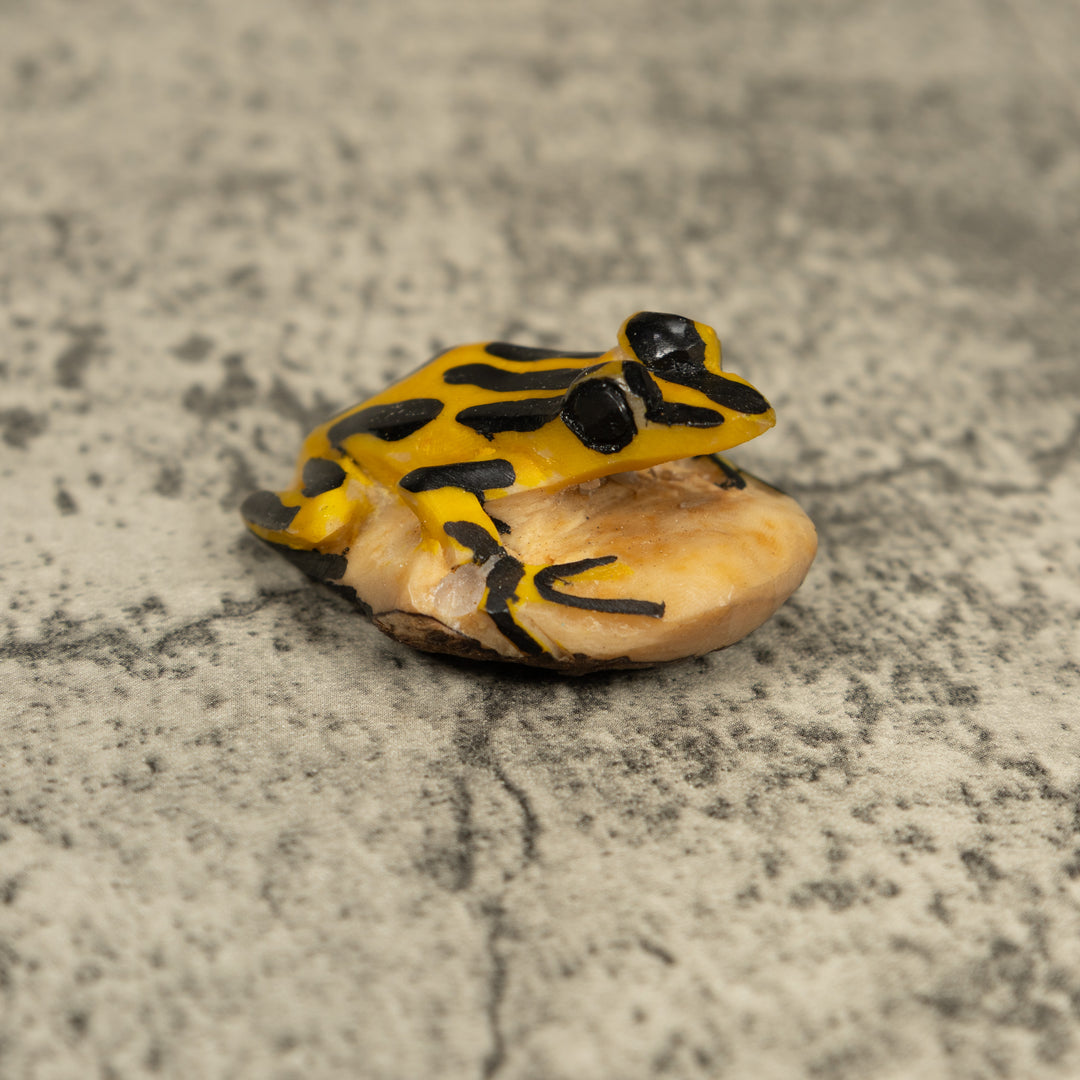 Vintage Black And Yellow Frog Tagua Carving