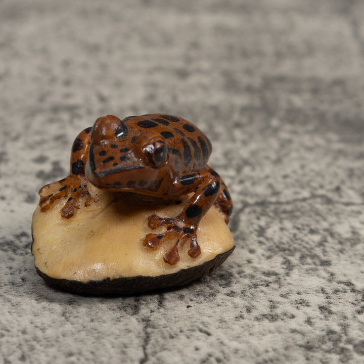 Black And Brown Toad Tagua Carving