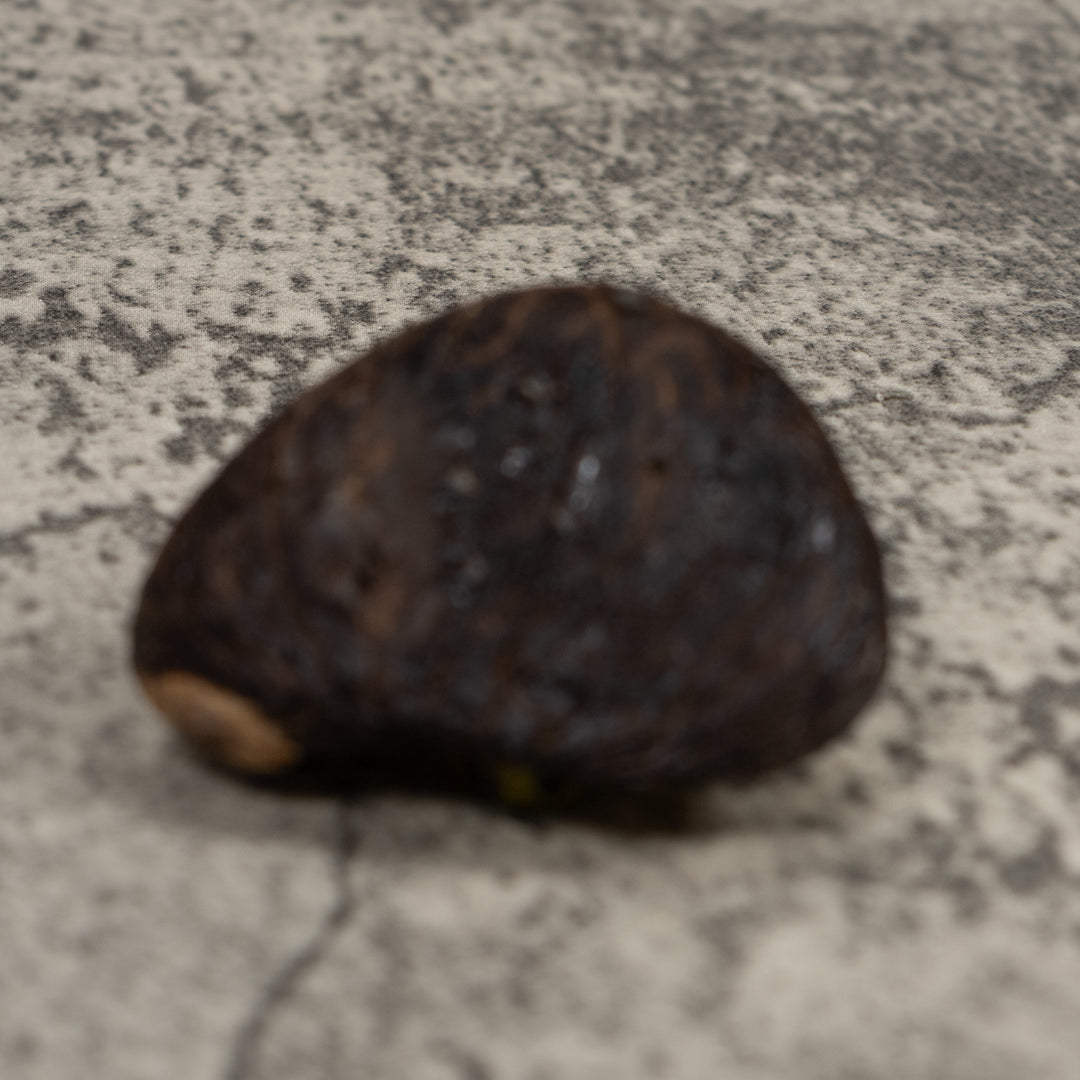 Poison Dart Frog Tagua Carving