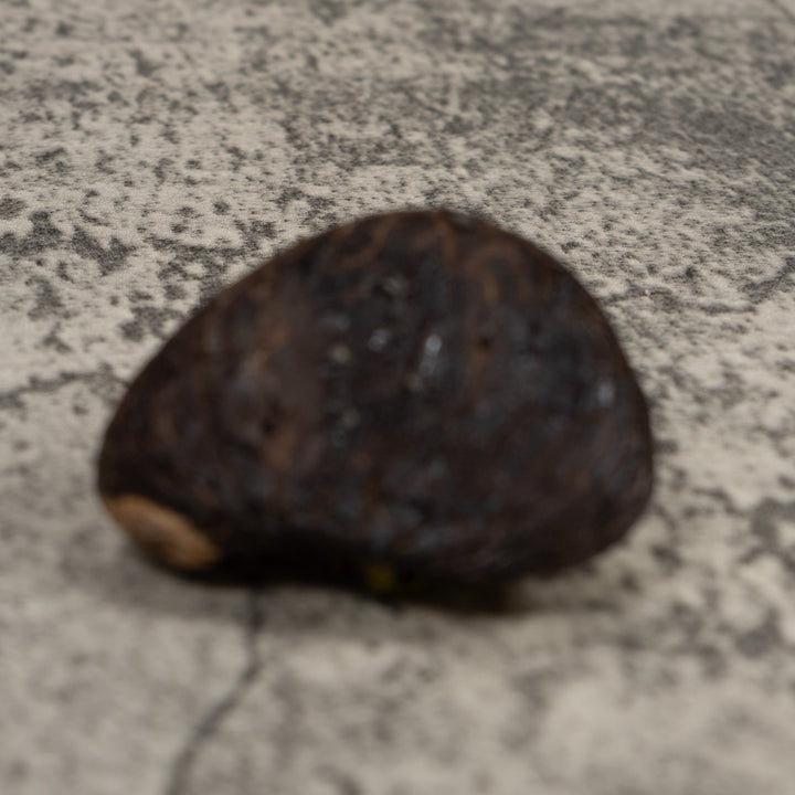 Poison Dart Frog Tagua Carving