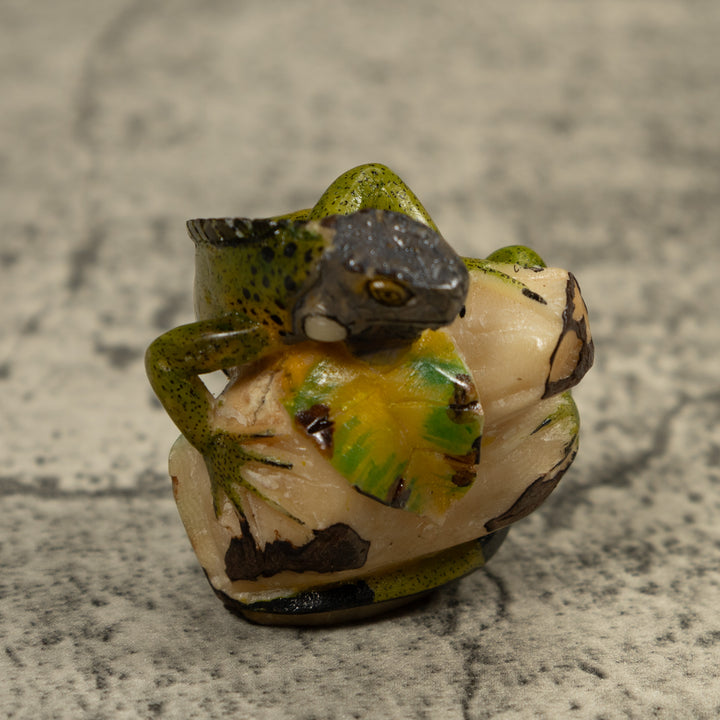 Iguana Lizard Reptile Tagua Carving