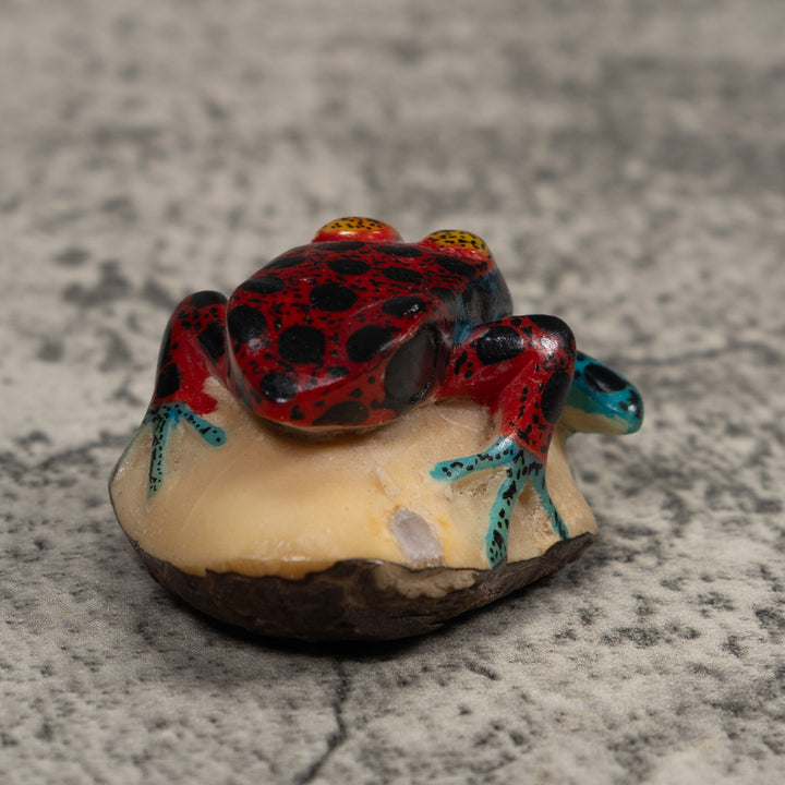 Vintage Red Blue And Yellow Frog Tagua Carving