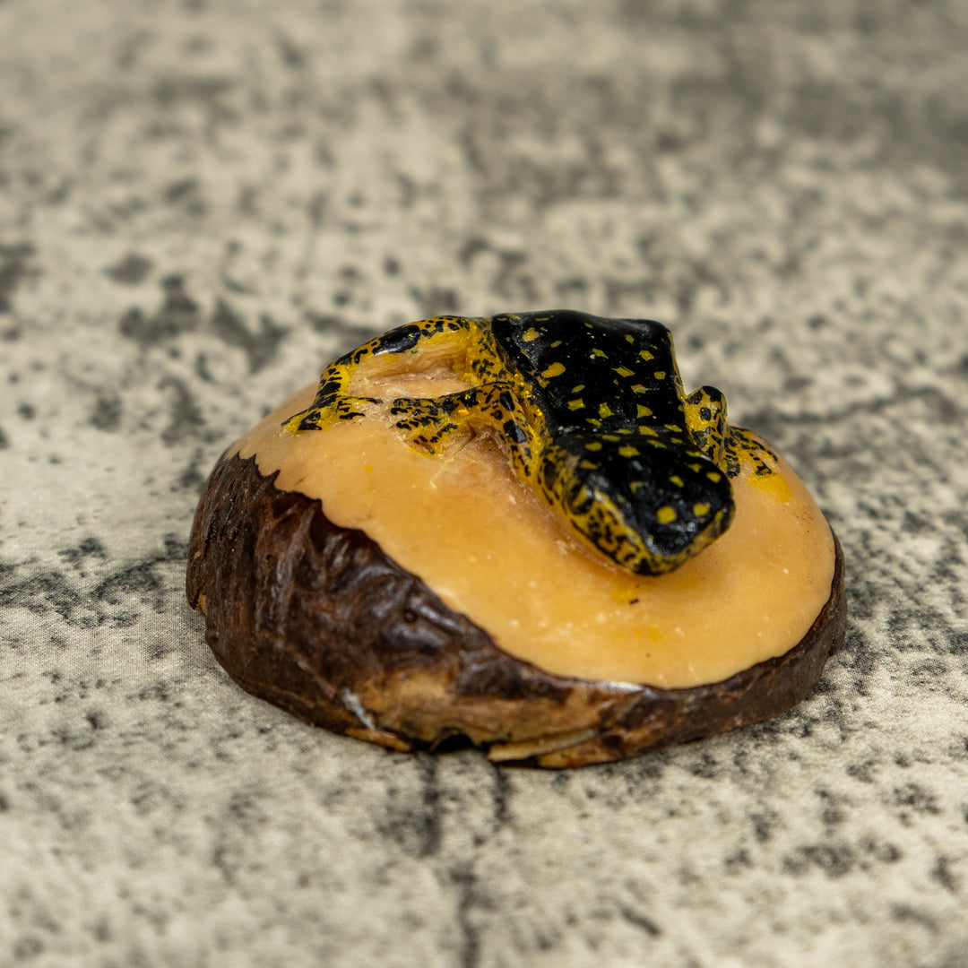 Vintage Black And Gold Rainforest Frog Tagua Carving