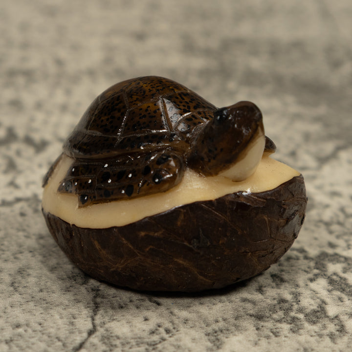 Sea Turtle Tagua Carving
