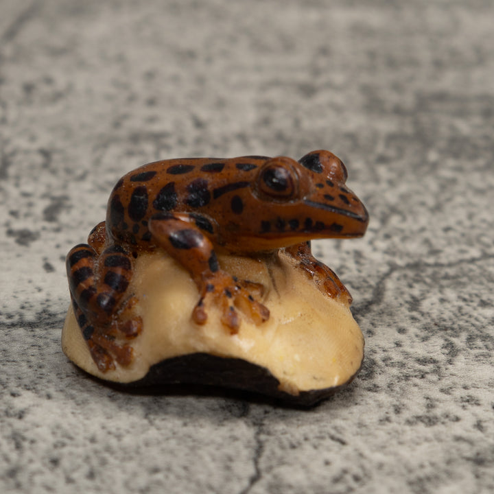 Black And Brown Toad Tagua Carving