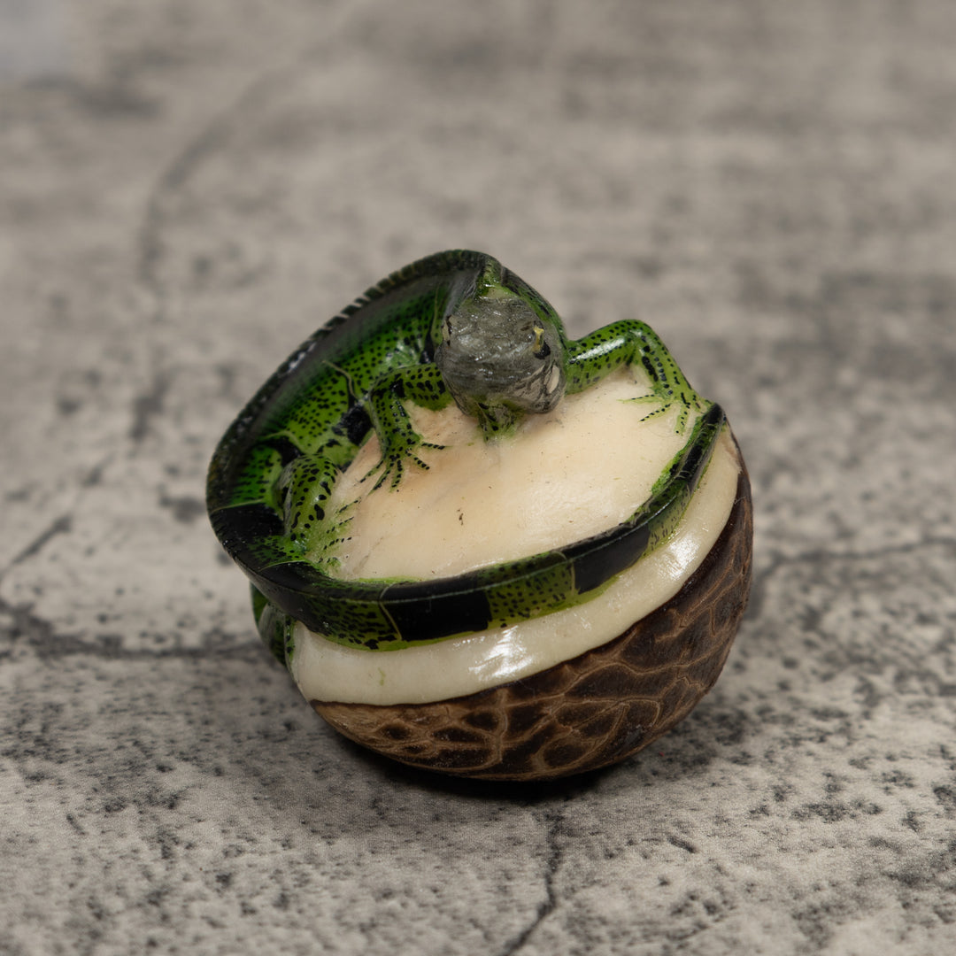 Iguana Lizard Reptile Tagua Carving