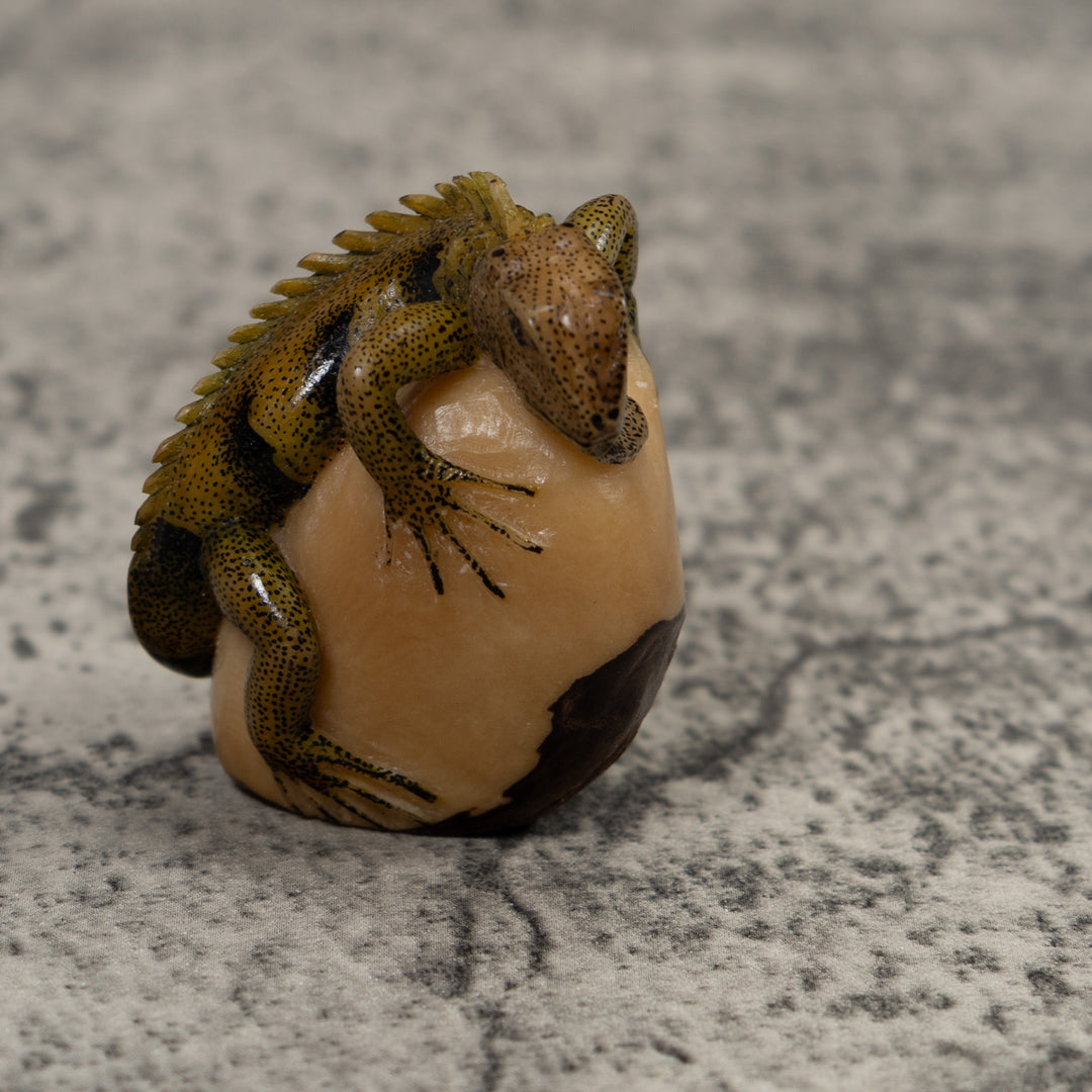 Iguana Lizard Reptile Tagua Carving