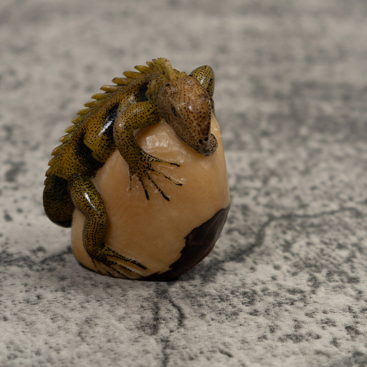 Iguana Lizard Reptile Tagua Carving