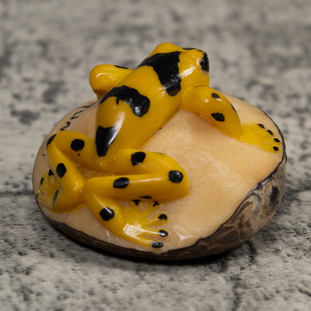 Golden Frog Tagua Carving