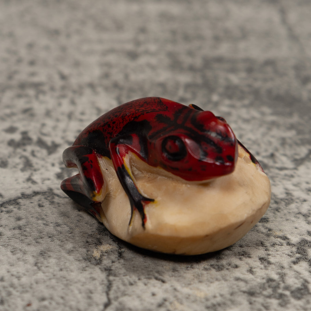Vintage Red And Black Frog Tagua Carving