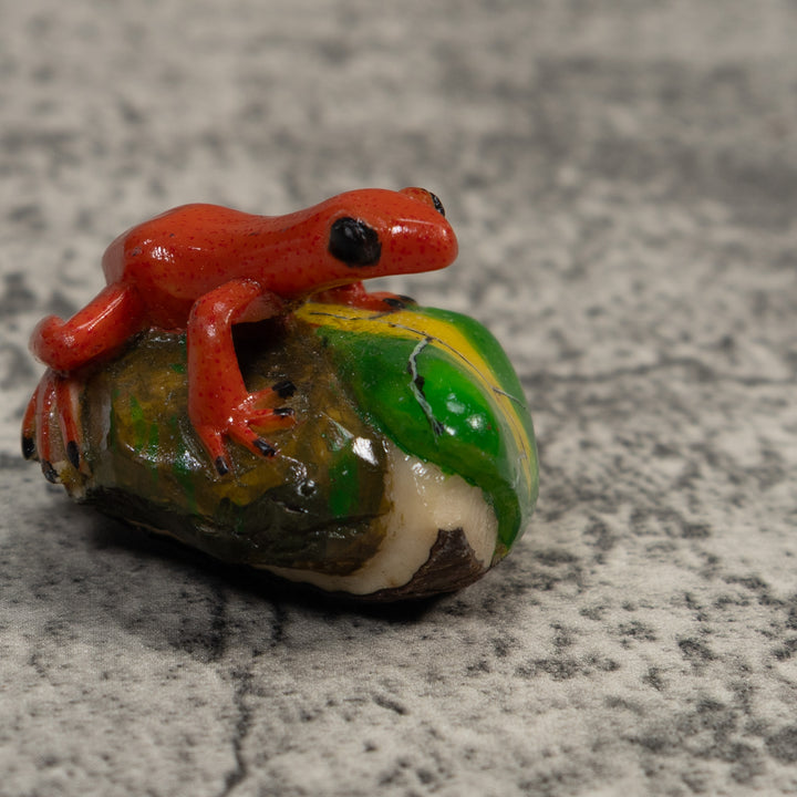Orange Black-Eyed Poison Dart Frog Tagua Carving