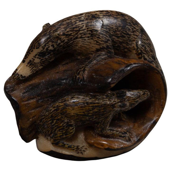 Coatimundi Tagua Carving