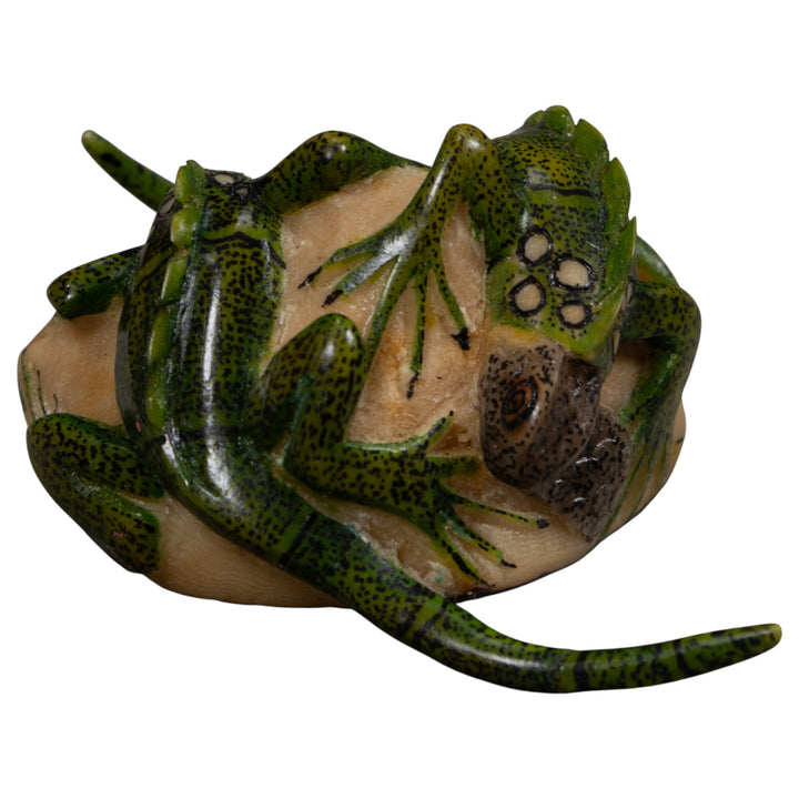 Double Long-Tail Iguana Tagua Carving