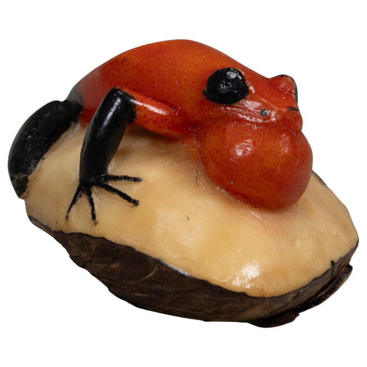 Black And Red Blowthroat Poison Dart Frog Tagua Carving