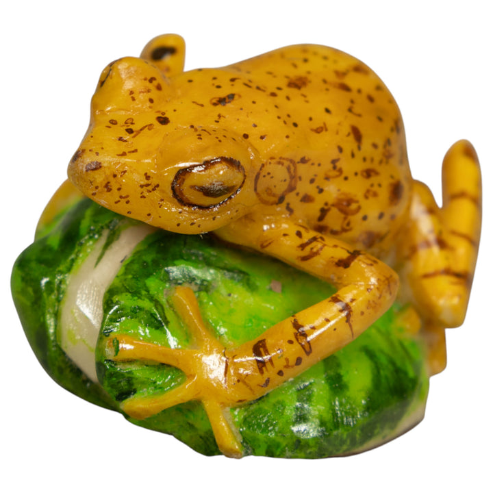 Golden Frog Tagua Carving