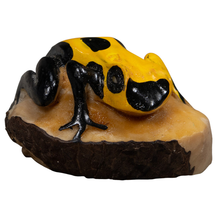 Poison Dart Frog Tagua Carving