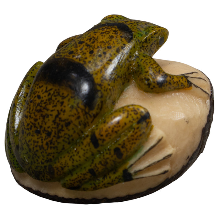 Jungle Frog Toad Tagua Carving