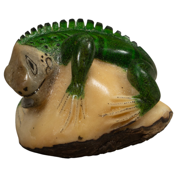 Iguana Lizard Reptile Tagua Carving