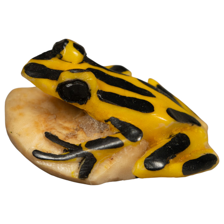Vintage Black And Yellow Frog Tagua Carving