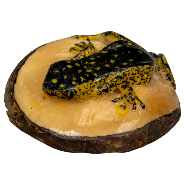 Vintage Black And Gold Rainforest Frog Tagua Carving