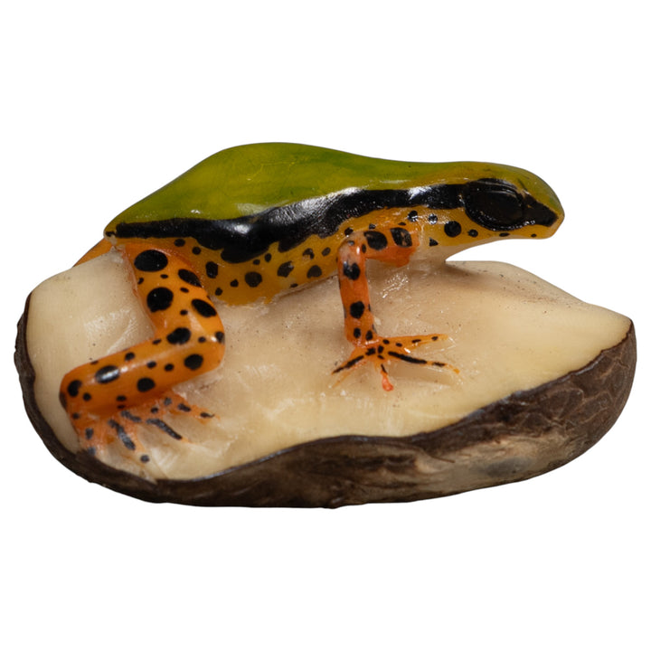 Vintage Green Gold And Dots Poison Dart Frog Tagua Carving