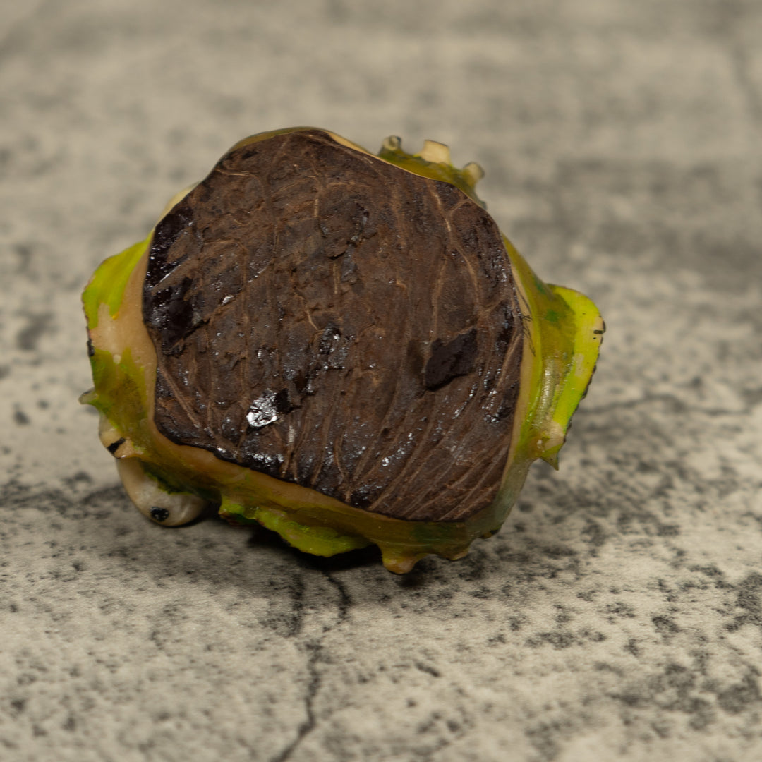 Poison Dart Frog Tagua Carving