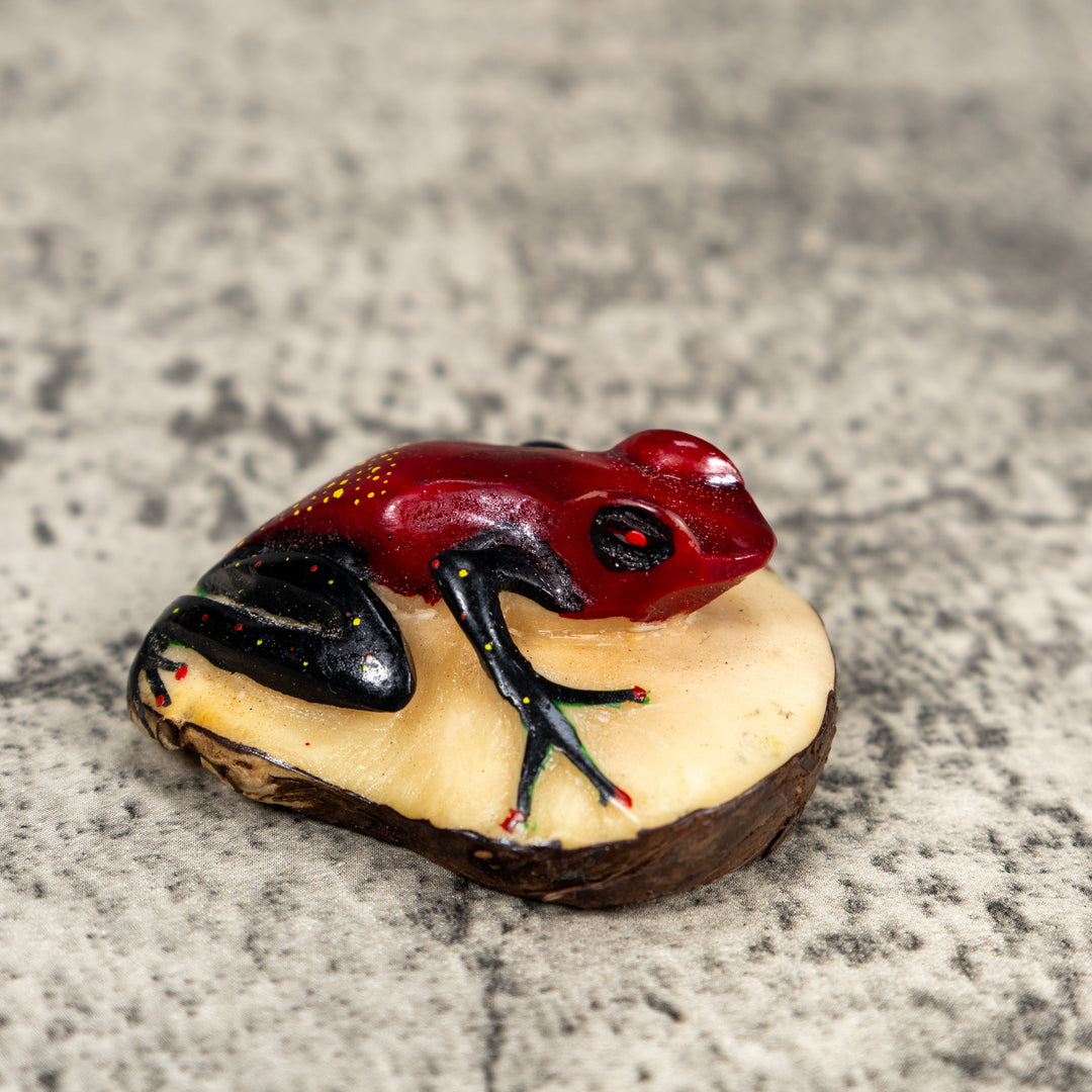 Black And Red Poison Dart Frog Tagua Carving