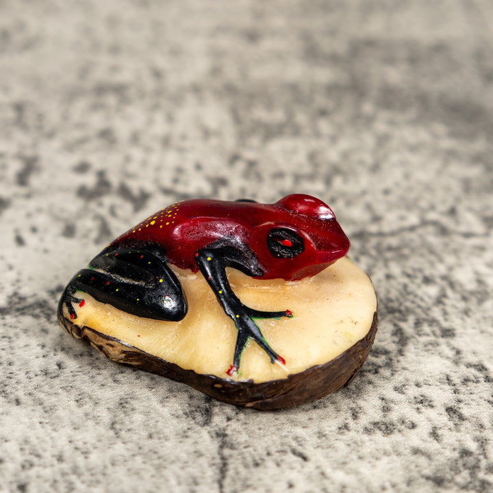 Black And Red Poison Dart Frog Tagua Carving