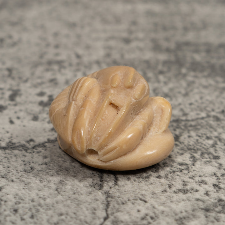 Vintage White Shrimp Tagua Carving