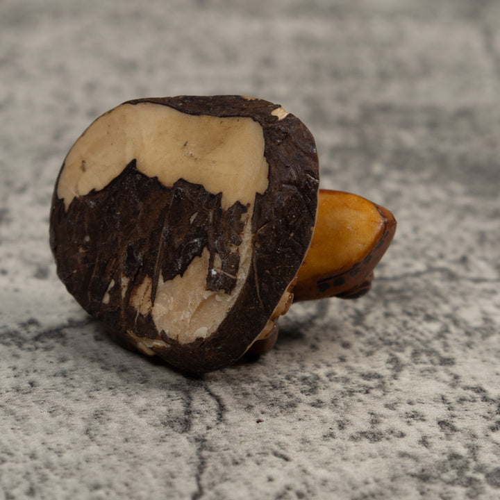 Black And Brown Toad Tagua Carving